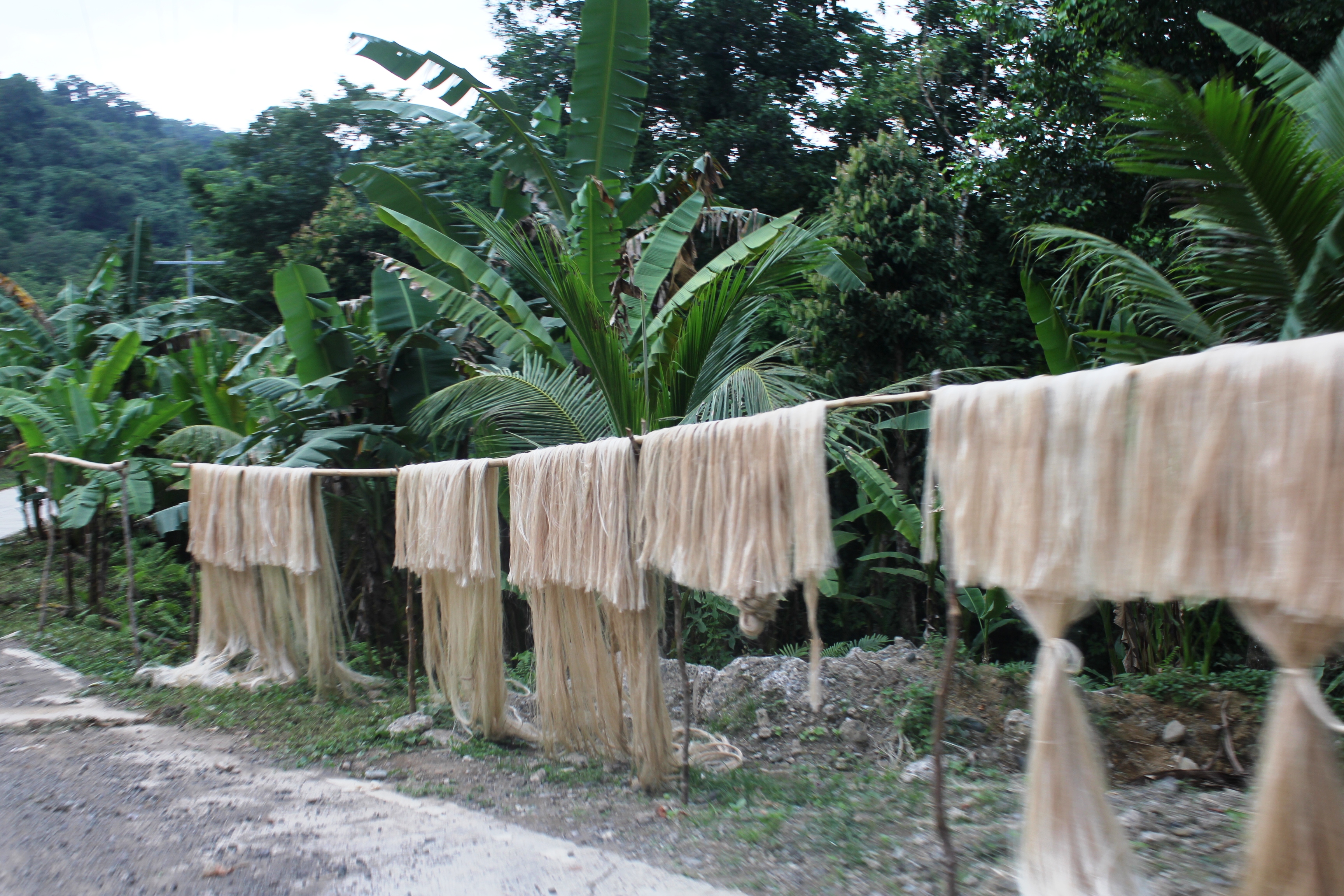 Natural abaca fiber material beside the Who We Are section