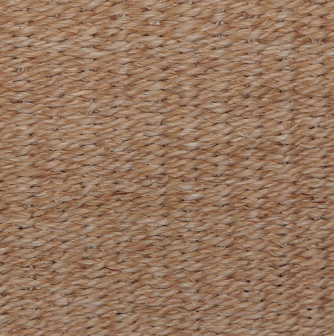 AMERCA 10