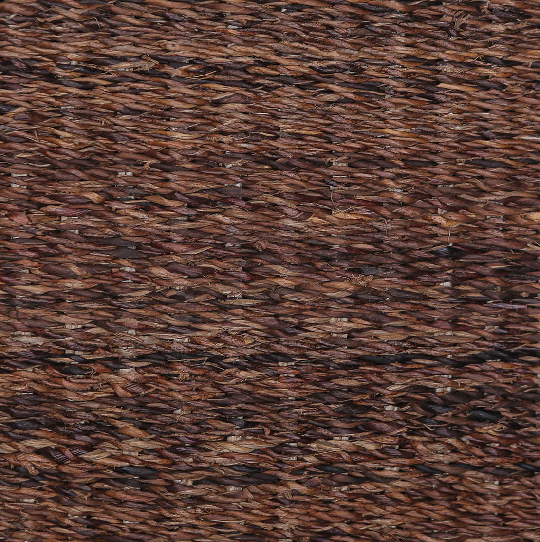 AMERCA 11