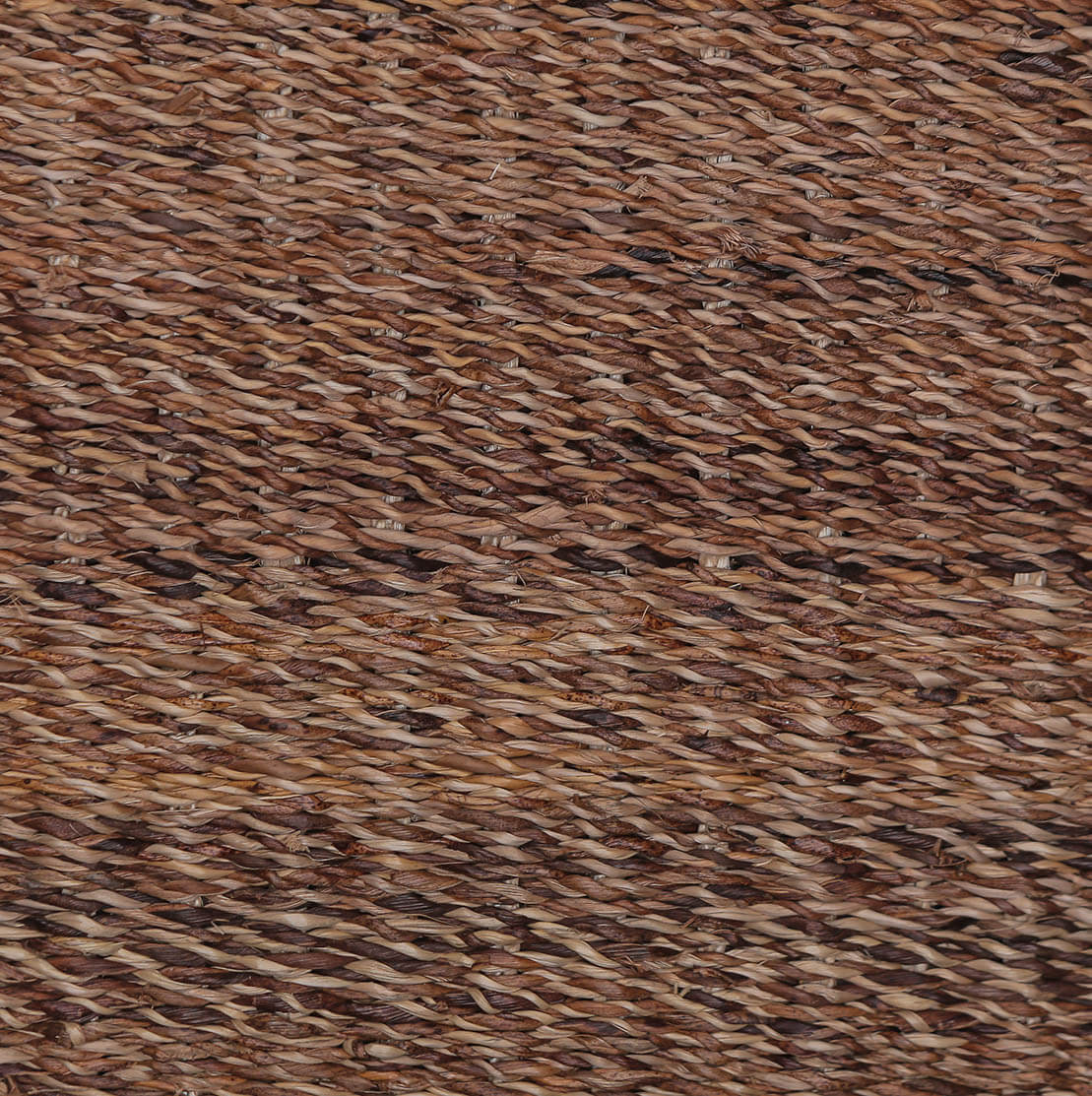 AMERCA 12