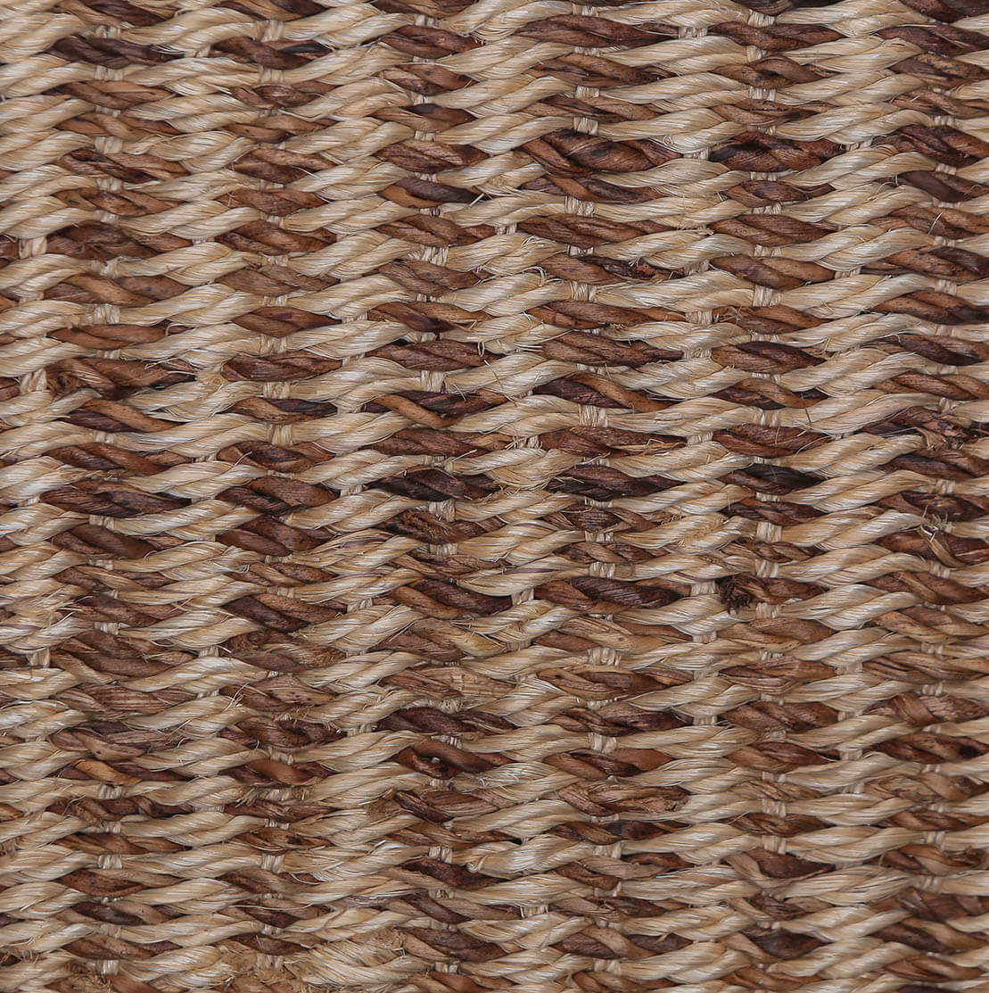 AMERCA 21