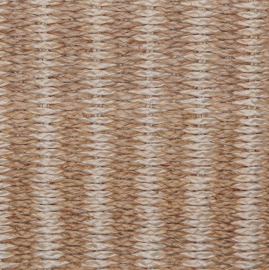 AMERCA 31