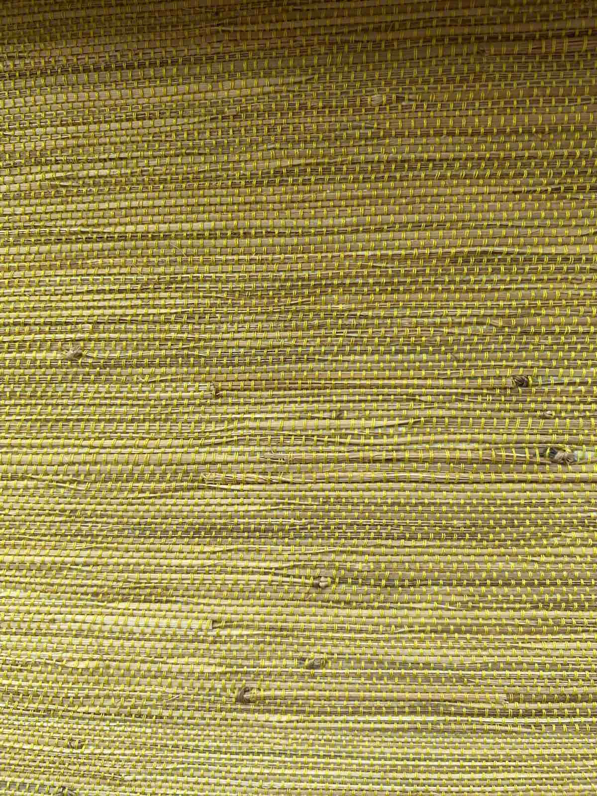 Canary Yellow TL