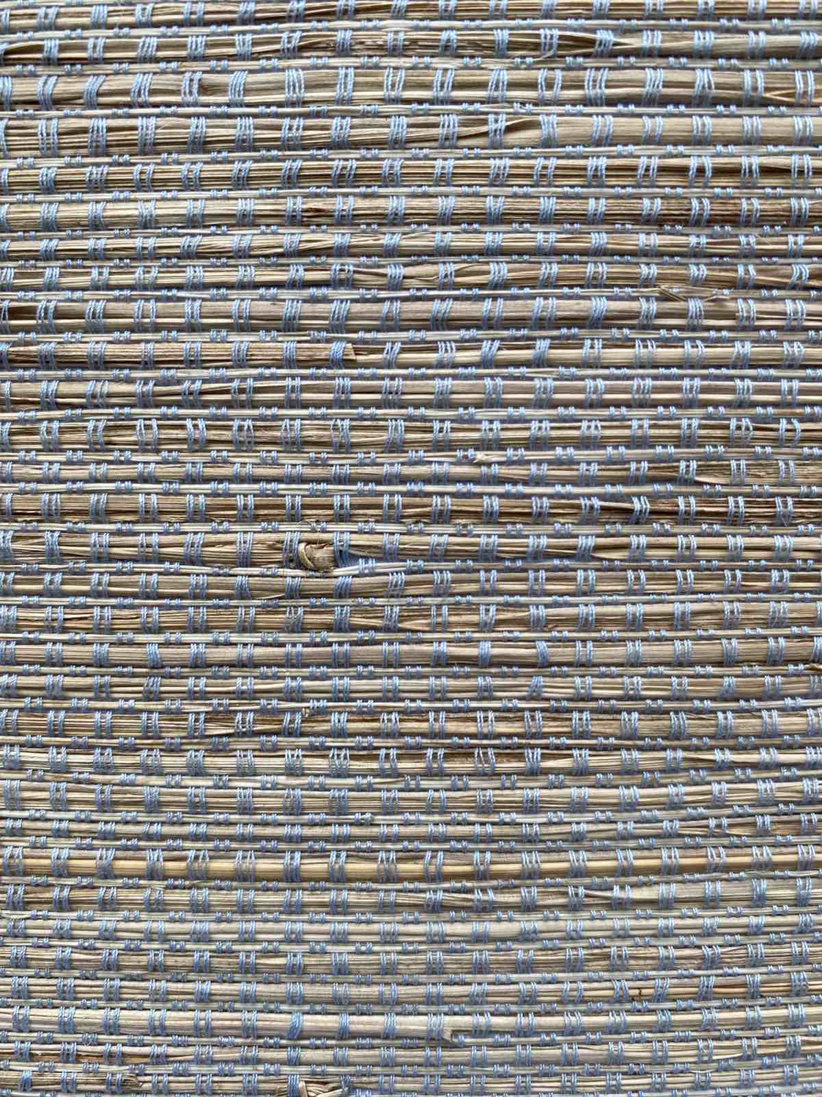 PALE BLUE TL