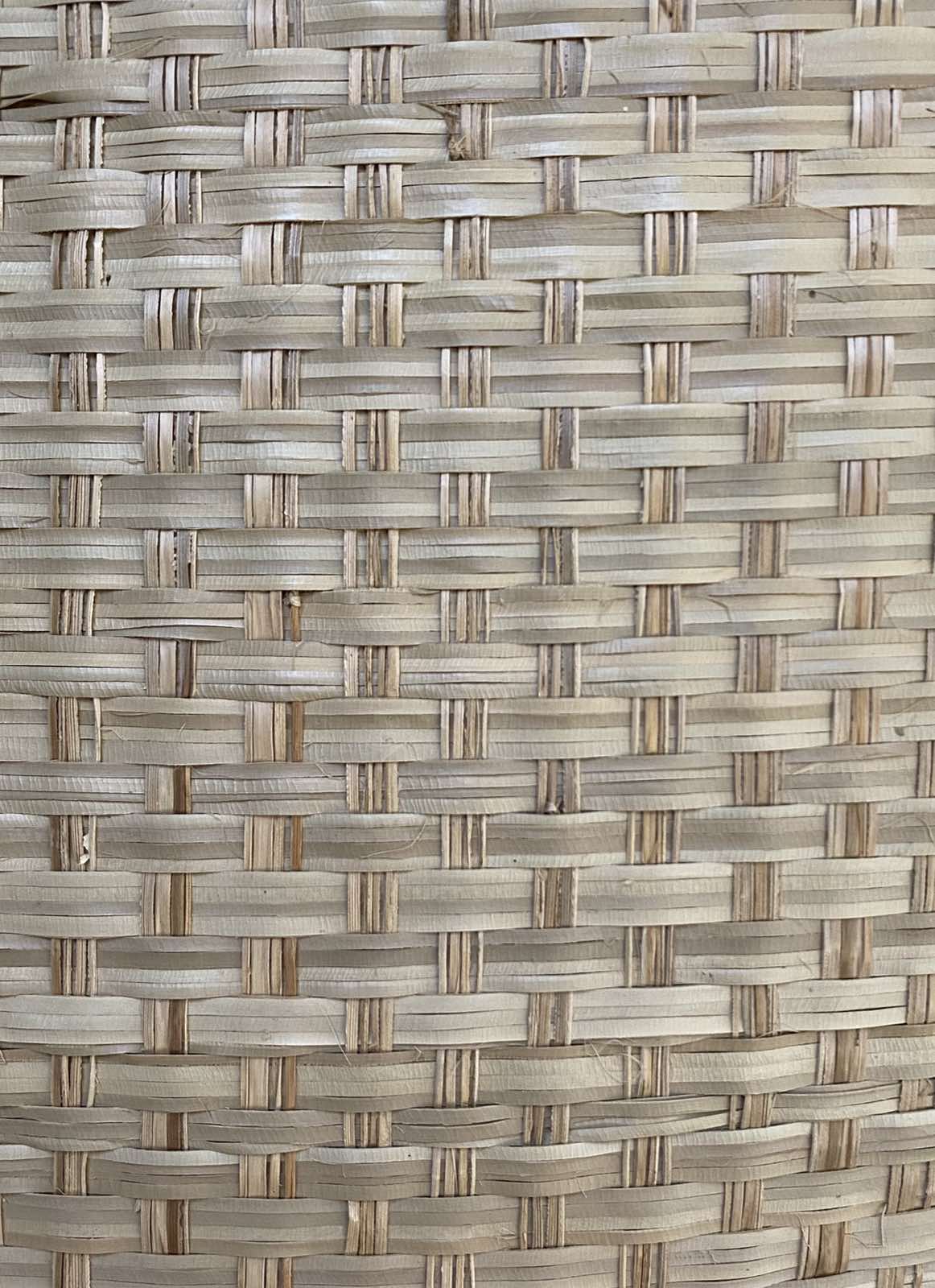 LI 16