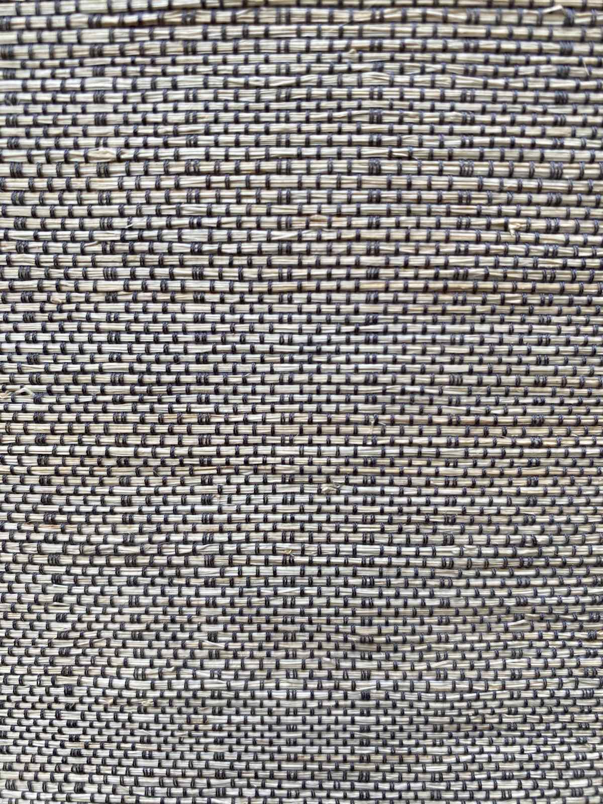 PEWTER TT