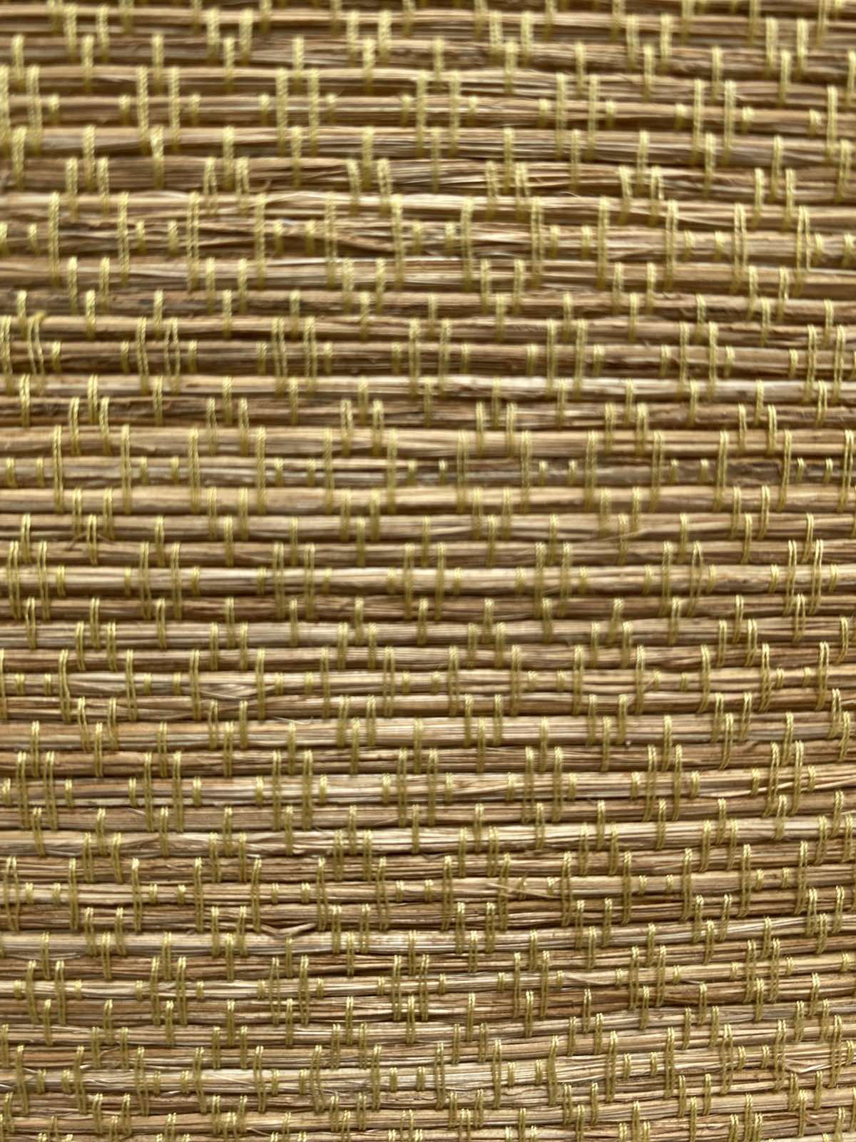 SUNSHINE YELLOW B