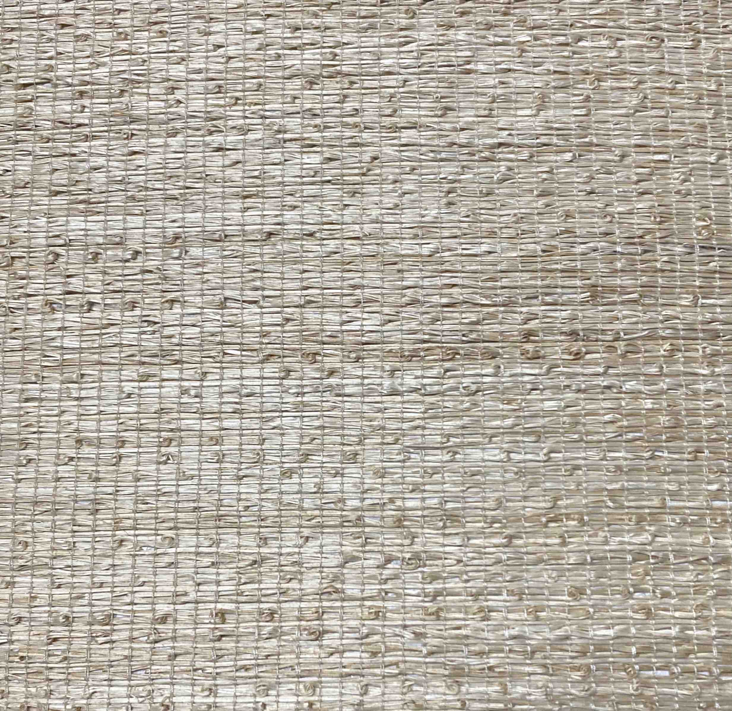 IVORY TT