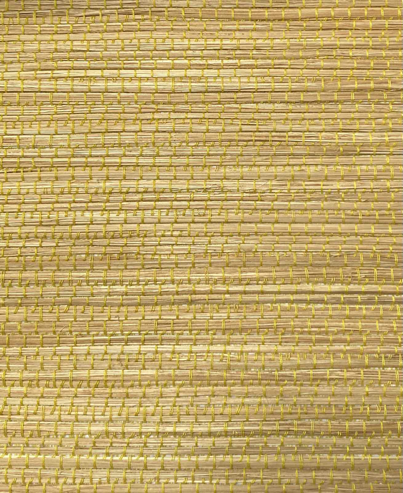 CANARY YELLOW B