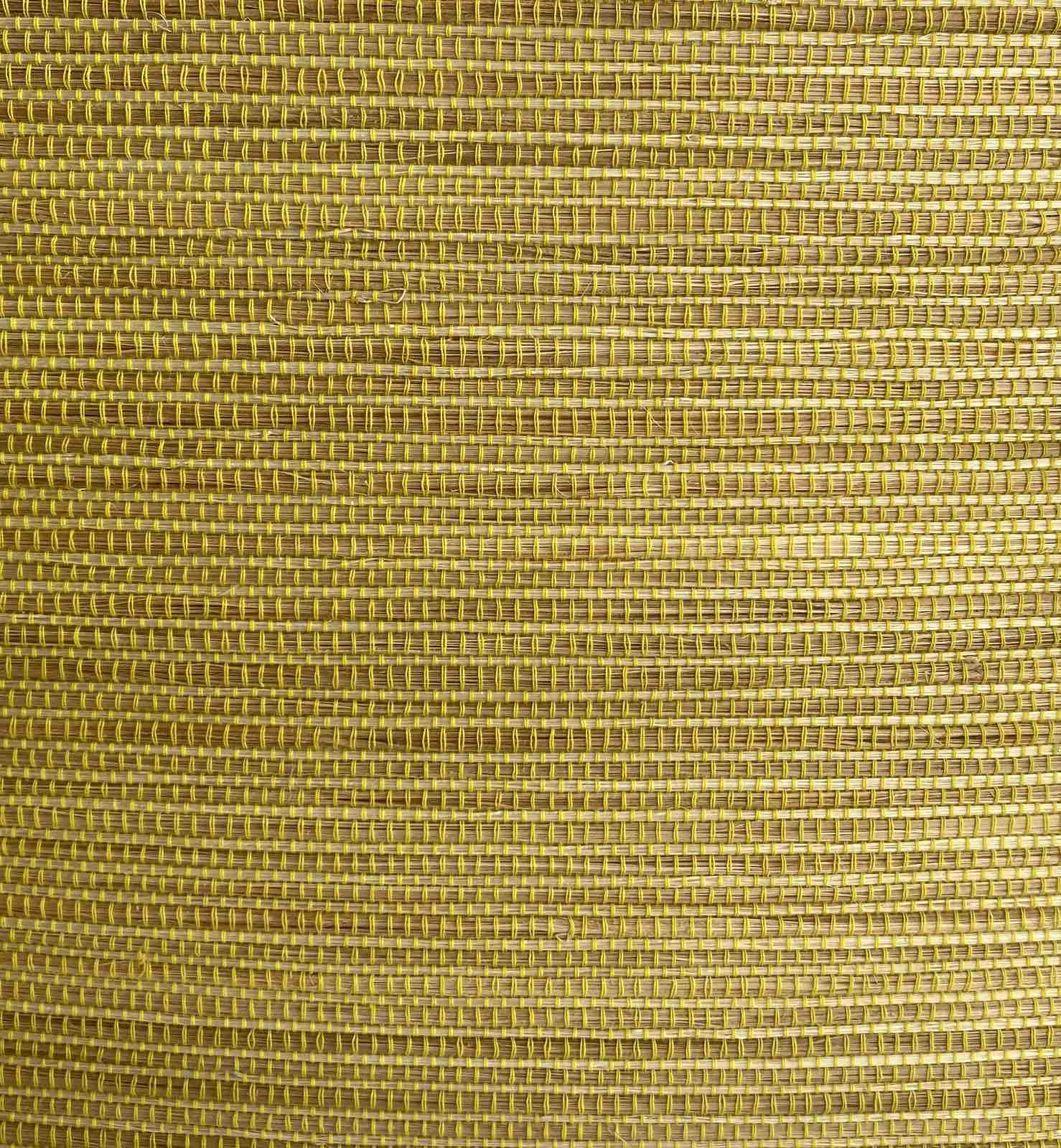CANARY YELLOW TT_B